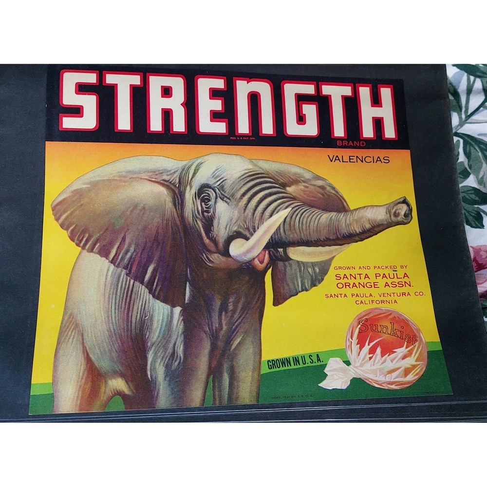 Vintage Decoration  Design Quality Label Elephant. Room Bar art Decor